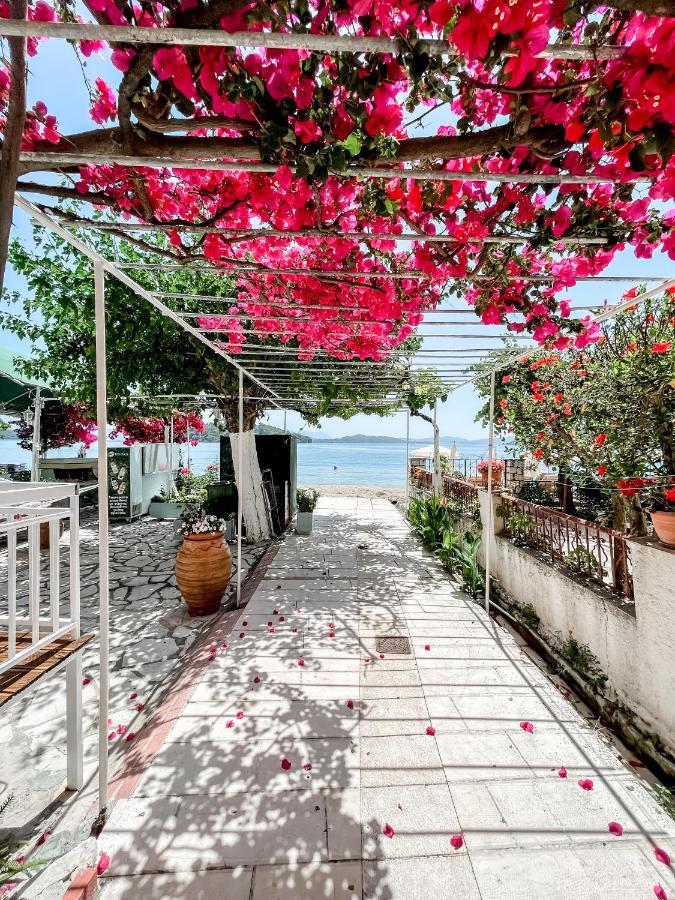 Avli Studios نيدري المظهر الخارجي الصورة