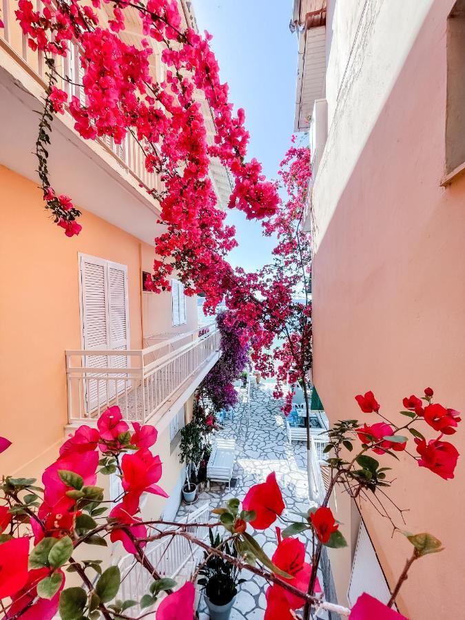 Avli Studios نيدري المظهر الخارجي الصورة